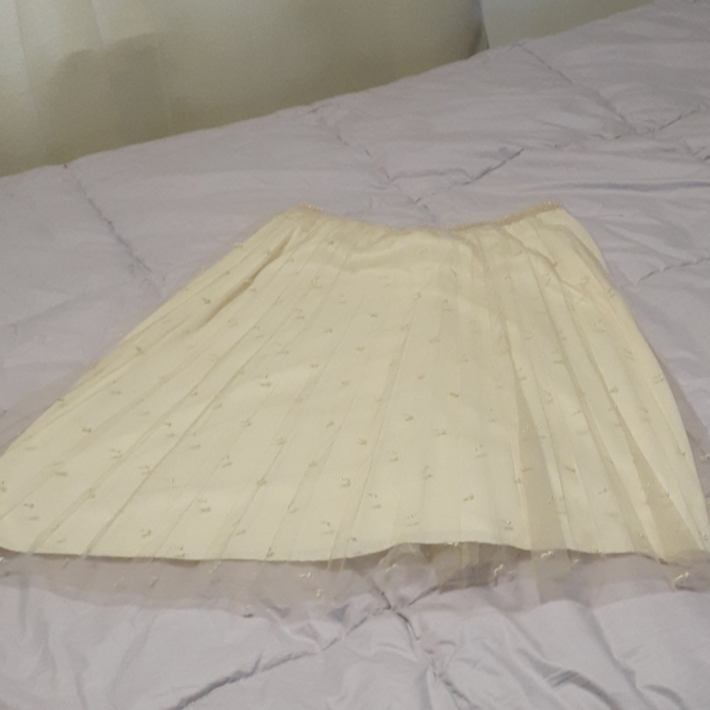 Zara skirt